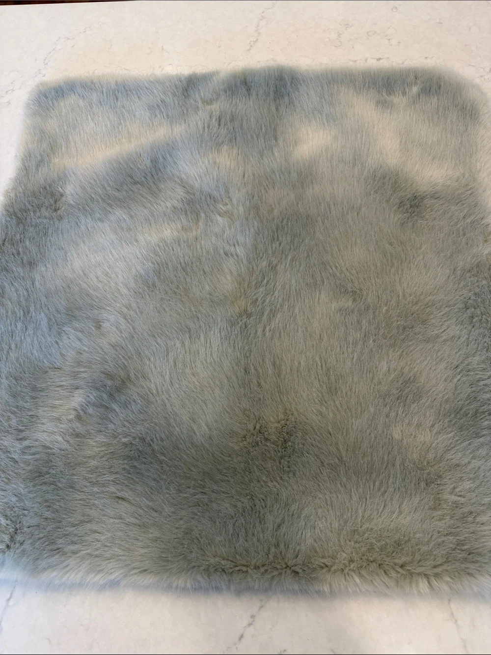Restoration Hardware LUXE FAUX FUR PILLOW COVER - SQUARE
